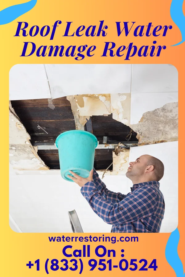 Roof Leak Water Damage Repair in Leal, ND